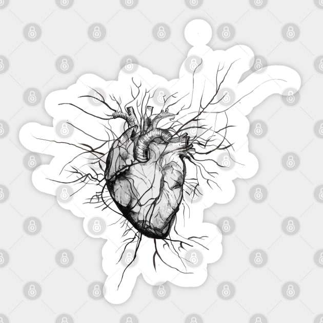 Anatomical Heart heart disease awareness Sticker by Collagedream